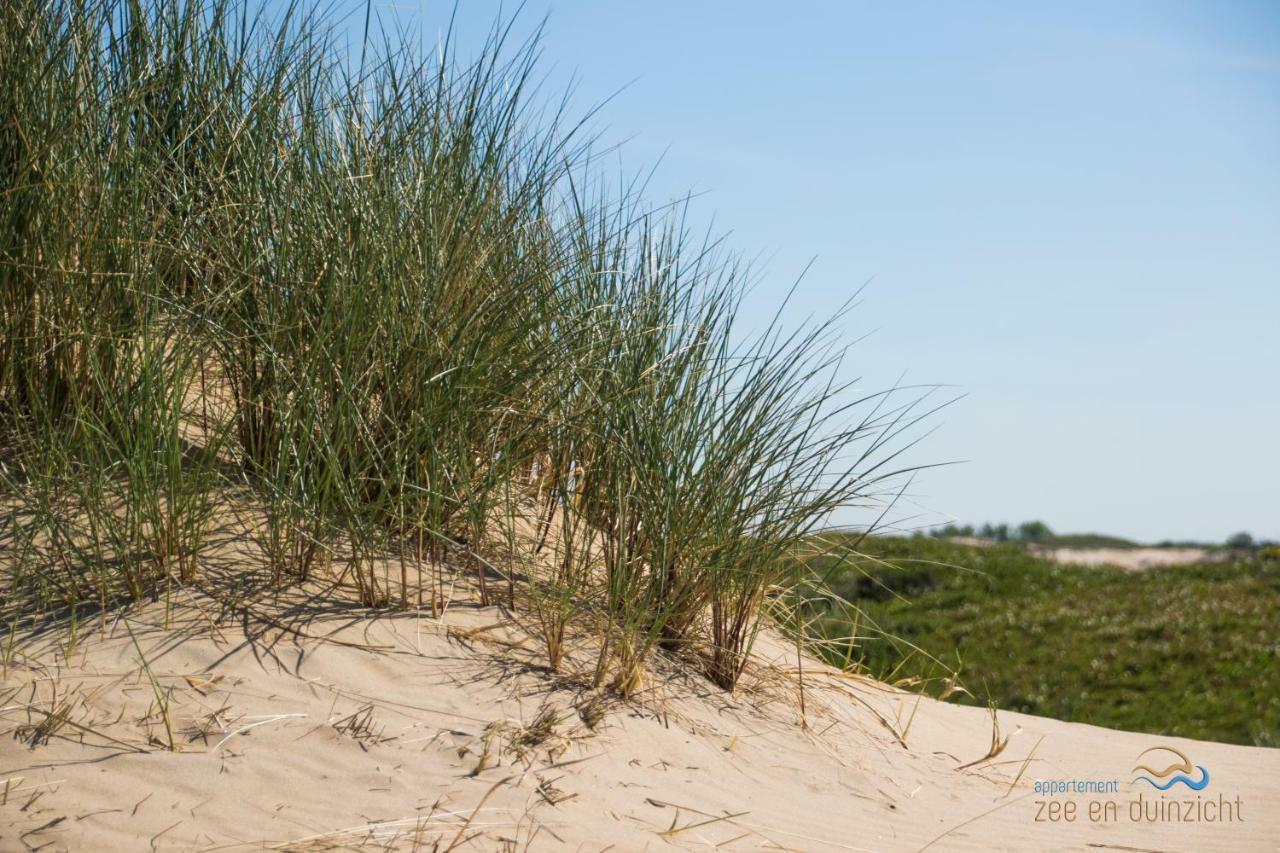 Appartement Zee En Duinzicht 78 Katwijk aan Zee Eksteriør billede